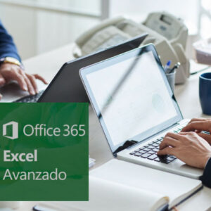 ms excel 365, nivel básico