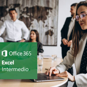 ms excel 365, nivel básico